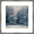 Frozen Forest Framed Print