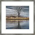 Frozen Pond And Frosted Tree With Reflection At Harveys Marsh In Wisconsin Framed Print
