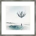 Frozen Tree Framed Print