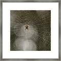 All Under Control, Almost Perfect - All Perfect Is Unachievable Framed Print