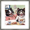 Funny Cats On Bed Framed Print
