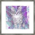 Fur Ball - Square Version Framed Print