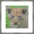 Future Lion King Cub Framed Print