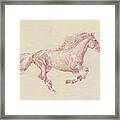Galloping Horse No1 Framed Print