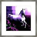 Galloping Over The Roses Framed Print