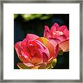 Garden Beauty Framed Print