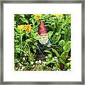 Garden Gnome Framed Print