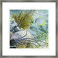 Garden Spot Framed Print