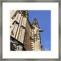 Gargoyles Of Segovia Framed Print