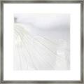 Garlic Wisper Framed Print