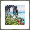 Gate In The Poppies Framed Print