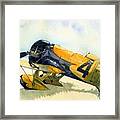 Gee Bee Framed Print