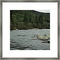 Geese On The Rogue River V Framed Print