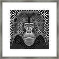 Gelada Monkey Animal Abstract 3b - Black And White Framed Print