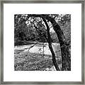 Gentle Breeze In Bw Framed Print