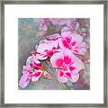 Geranium Floral Design Framed Print