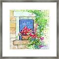 Geranium In Window Framed Print