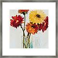 Gerber Daisy Framed Print