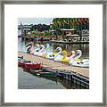 Get Your Ducks In A Row Framed Print