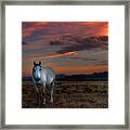Ghost Horse At Sunset Framed Print