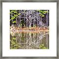Ghost Tree Reflection Framed Print