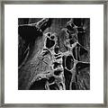 Ghosts On The Wall Framed Print