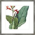 Giant Flower With Green Leafs Framed Print