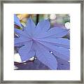 Giant Purple Leaves Framed Print