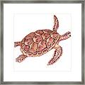 Giant Sea Turtle Watercolor Framed Print