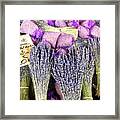 Gifts From Provence Framed Print