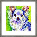 Colorful Cute Longhaired Chihuahua Dog Framed Print