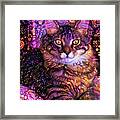 Gizmo The Psychedelic Maine Coon Cat Framed Print