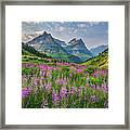 Glacier Wildflowers Framed Print