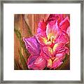 Gladiolas Framed Print