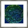 Glass As Abstract Framed Print