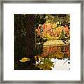 Glimpse Of Autumn Framed Print