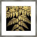 Gold Leaf Fern Framed Print