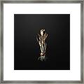 Gold Spring Crocus On Wrought Iron Black N.02475 Framed Print