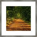 Golden Alley In Sunset As The Season Shifts Framed Print