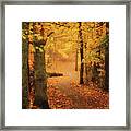 Golden Autumn Forest Framed Print