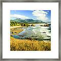 Golden Beach Framed Print