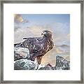 Golden Eagle With Prey At Sunrise Framed Print