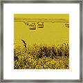 Golden Fields Framed Print