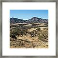 Golden Hills Framed Print