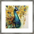 Golden Peacock Framed Print