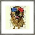 Golden Retriever And 3d Glasses, Funny Movie Dog Framed Print
