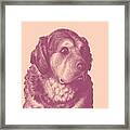 Golden Retriever Portrait In Purple And Pink Framed Print