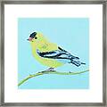 Goldfinch Bird Framed Print