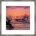 The Forest And The Sea Framed Print
