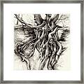Graceful Tree That Grows On The Sandstone Ii Framed Print